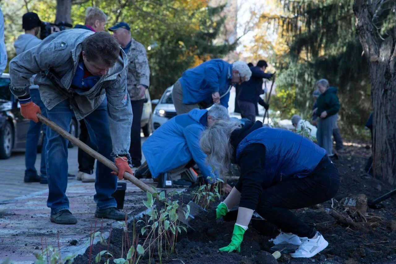 Высадили участника сво. Посадка деревьев акция. Высадка деревьев волонтерами в Омске. Медведев сажает дерево. Срубил дерево посади.