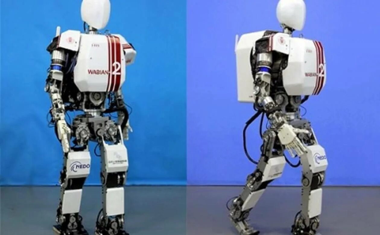 WABIAN-2. Шагающие роботы. Шагающий робот. Ходячий робот.