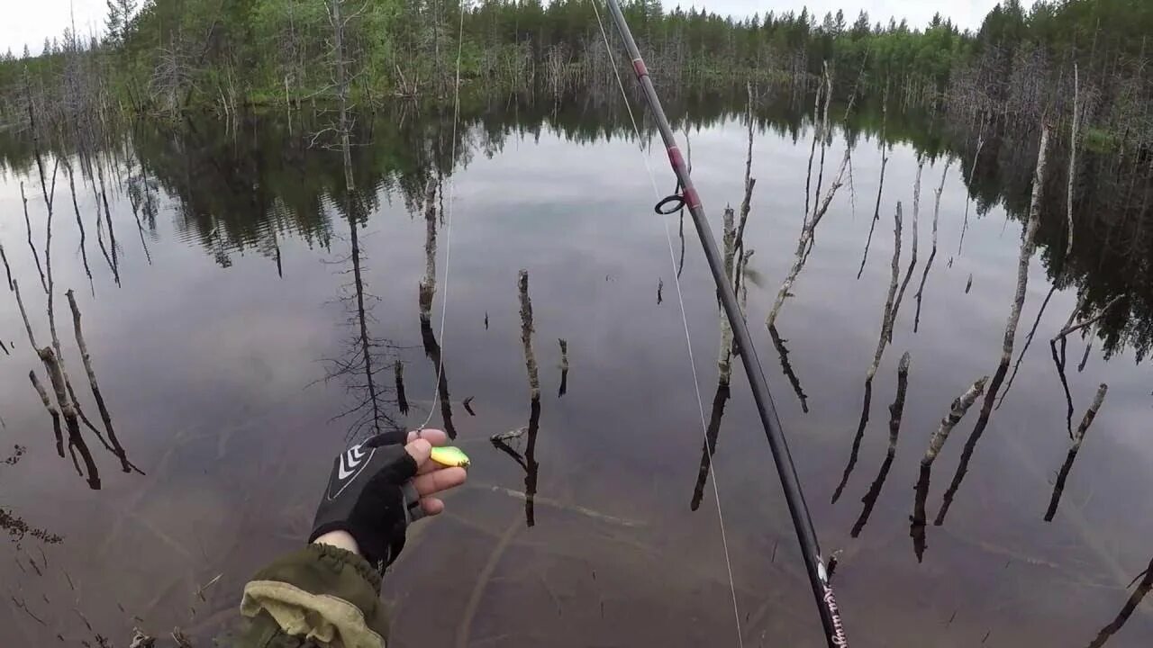 Рыбалка сам видео. Рыбалка видео. Поплавок на карася. Рыбалка сам видео. Еловка (приток камчатки).