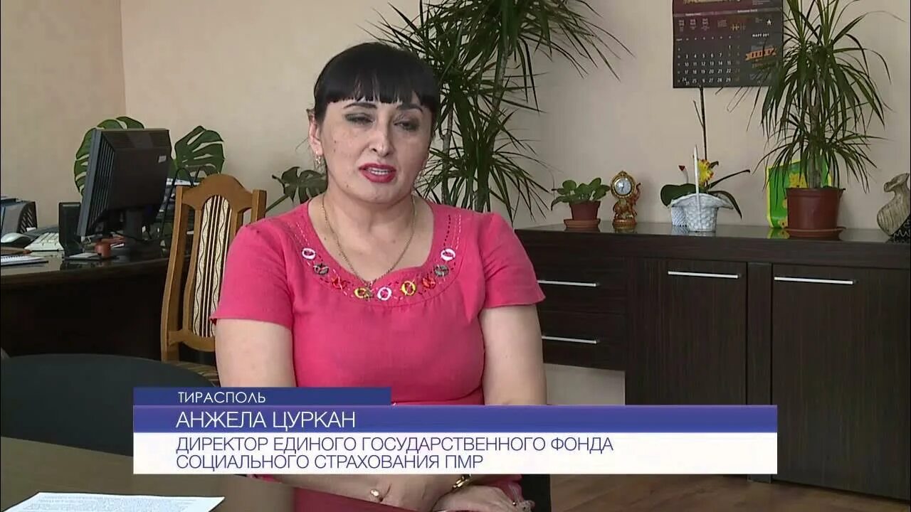 Социальное страхование пмр. Социальный фонд пмр. Социальный фонд пмр. Егфсс. Ук пмр.