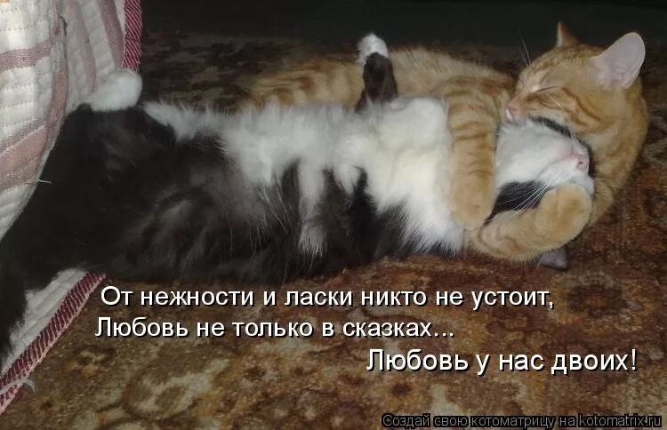 хочу внимания и ласки. не хватает тепла и ласки. хочу ласки тепла. мне так хочется тепла. хочу теплоты и ласки.