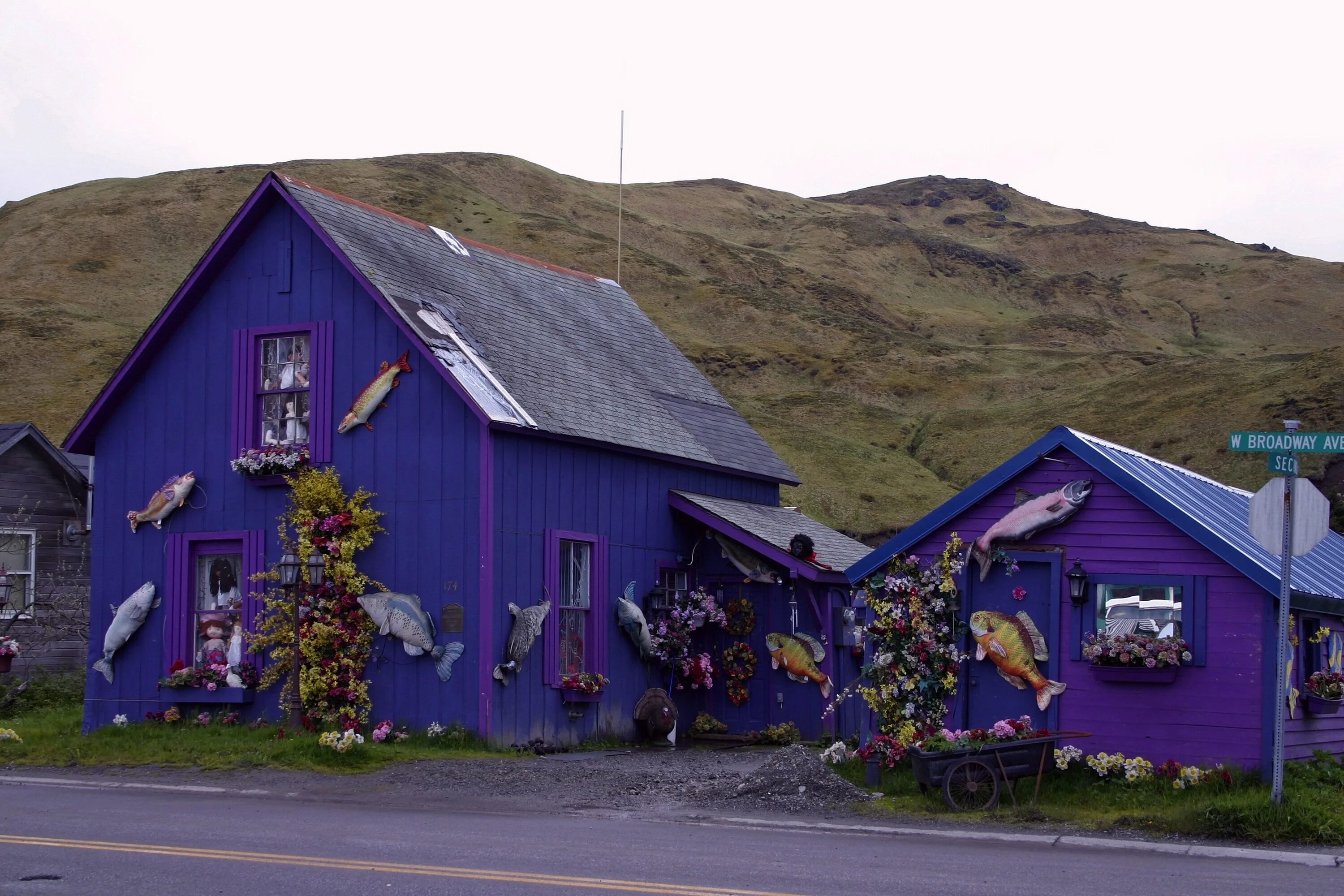 Дома на аляске. Город дом на Аляске. Фиолетовая деревня. Аляска домики. Фиолетовый дом.