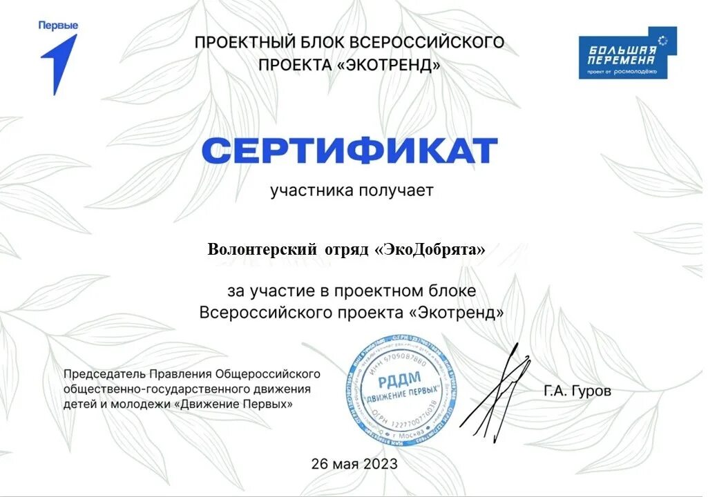 Всероссийский проект сертификат