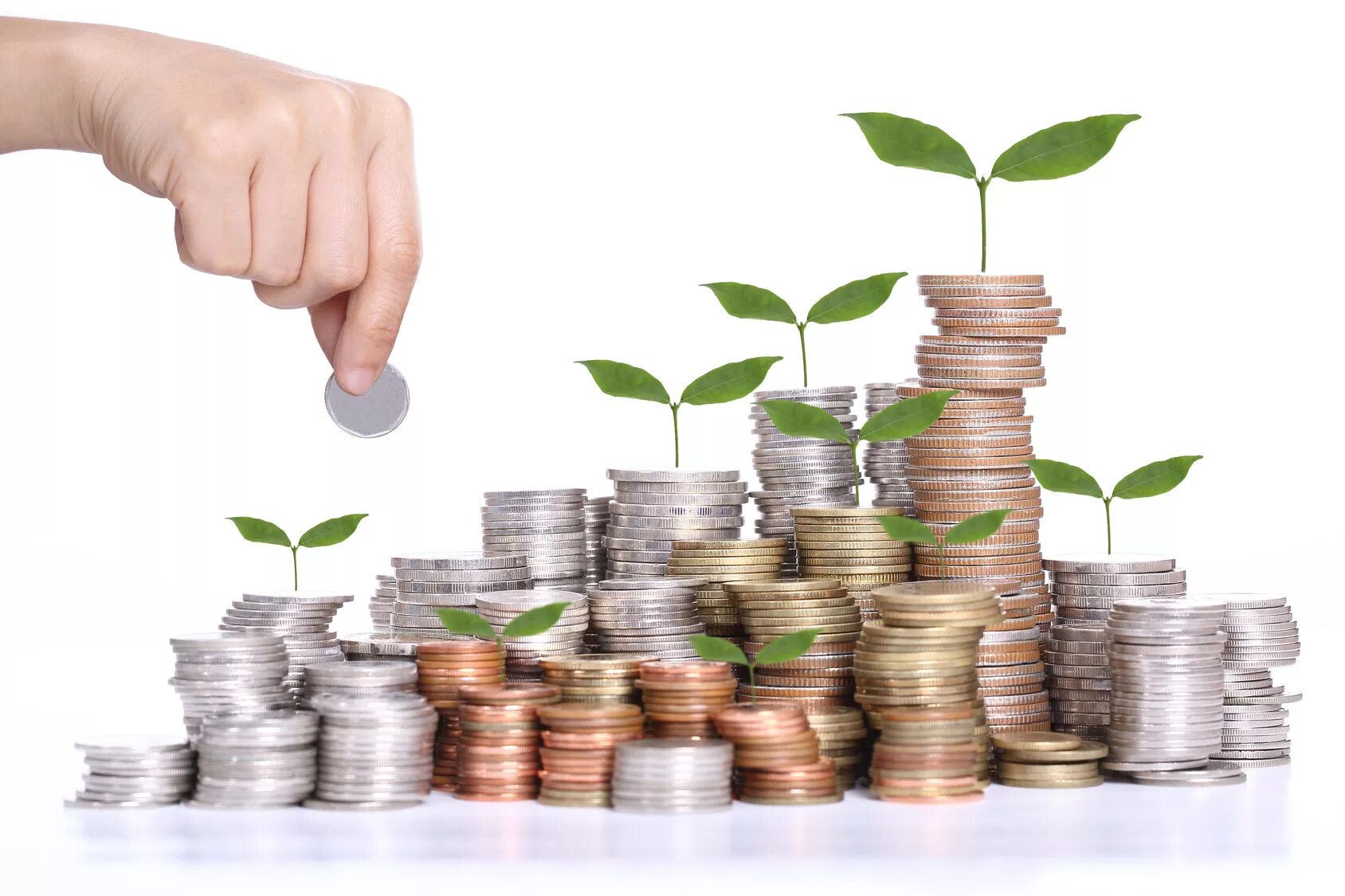 Money lover is the root of all evil. Приумножение капитала. Деньги в руках. Деньги инвестиции. Enrollment.