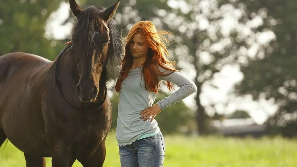 Ора лошади. Фильм восточный ветер 3. Восточный ветер 3 наследие оры. Ора лошади. Андалусия испания лошади ора.