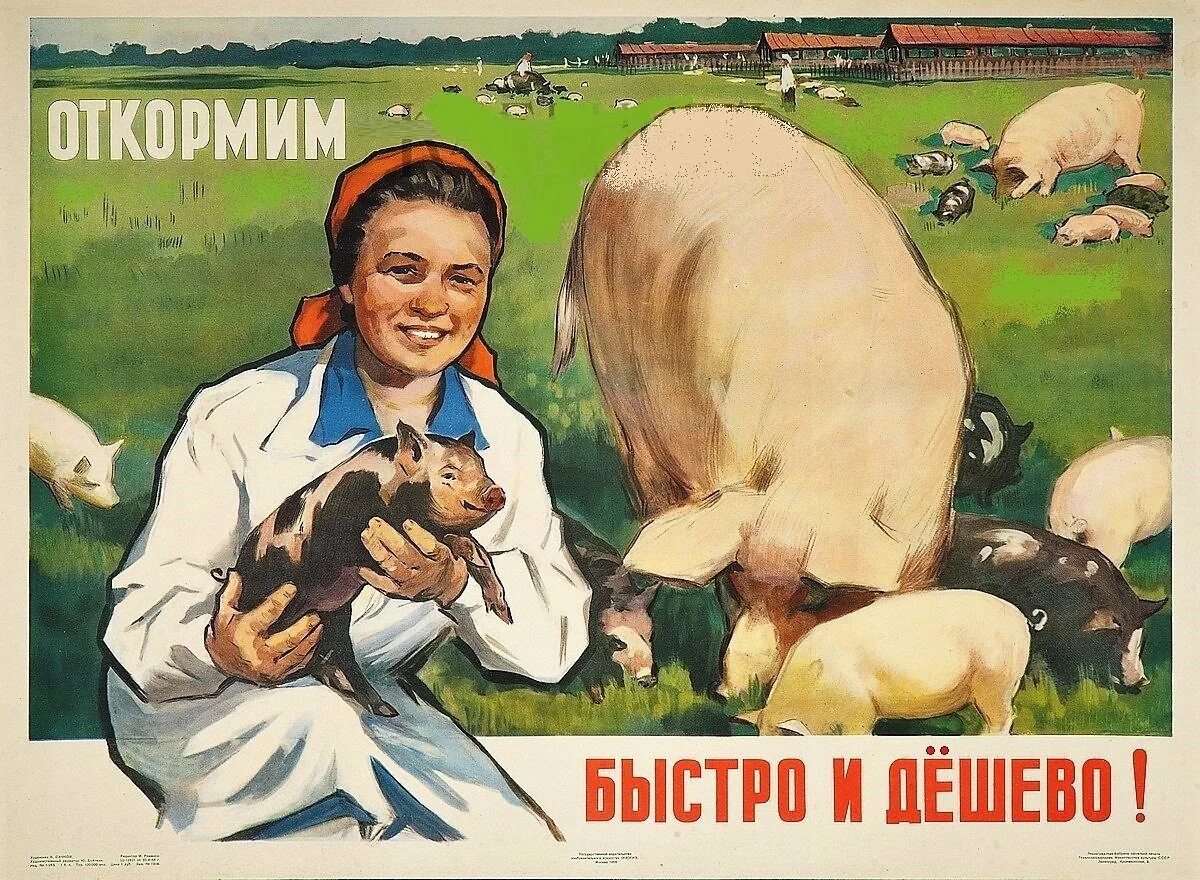 Человек года свиньи