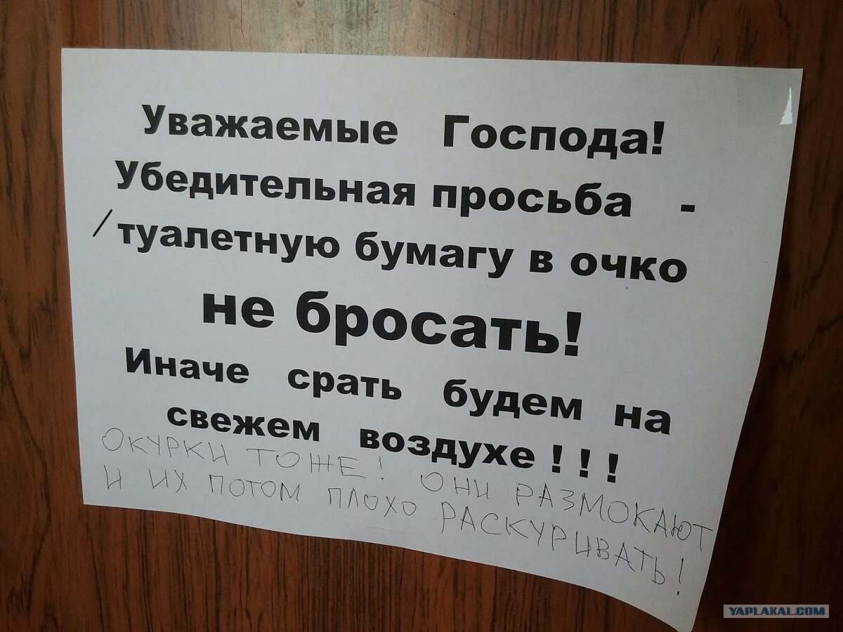 Убедительная просьба не бросать. Убедительная просьба туалетную бумагу. Объявление не кидать в унитаз. Убедительная просьба бумагу в унитаз не бросать. Просьба не кидать туалетную бумагу в унитаз.