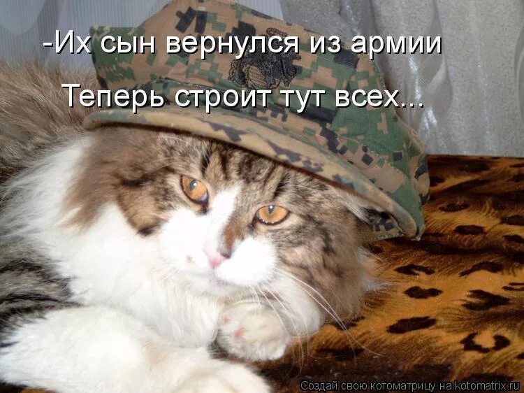 Сын пришел домой быстрее. Сын пришел домой быстрее