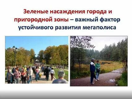 Охрана городской среды