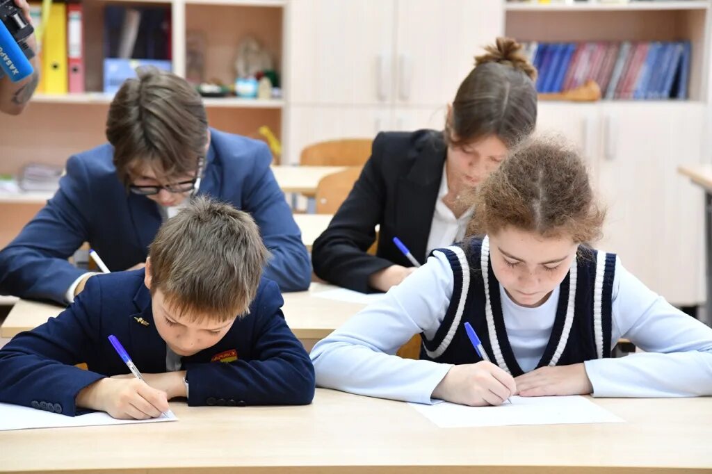 Школьник написал свою книгу. Школьник составил программу. Школьник составил программу. Диагностические работы в школе дети пишут. Школьники на информатике.