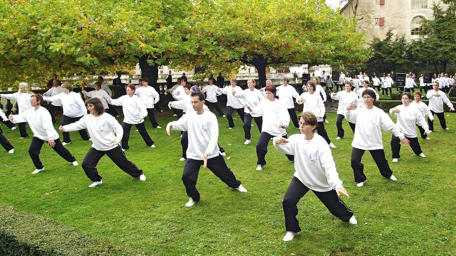 Тай чи что это такое. Гимнастика тайчи цигун. Китайская гимнастика tai chi. Цигун и тайцзицюань. Лечебная гимнастика цигун Китай.