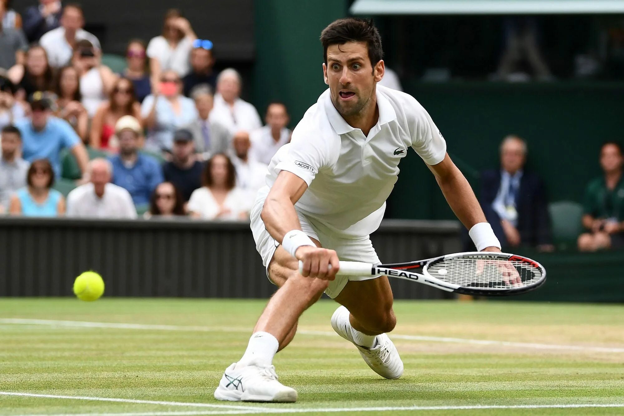 Теннисные матчи. Теннисист Новак Джокович. Wimbledon теннисист. Уимблдон теннисисты. Джокович теннис фото.