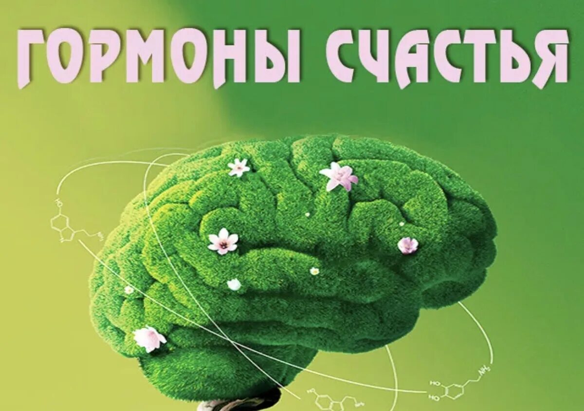 Гормоны счастья. Гормоны радости и счастья. Серотонин гормон счастья. Эндорфины гормоны счастья. Мозг вырабатывает эндорфины