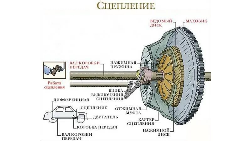 Из чего состоит сцепление автомобиля. Схема механизма сцепления автомобиля. Как работает сцепление в автомобиле. Схема работы автомобильного сцепления. Принцип работы сцепления автомобиля.