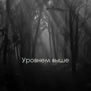 Серый мрачный лес