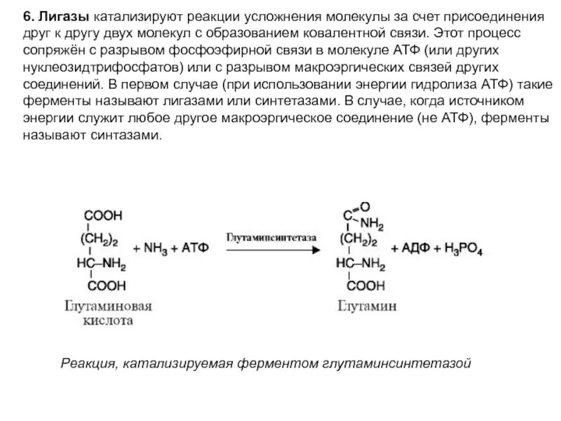 Лигазы реакции. Лигазы катализируют реакции. лигазы тип катализируемой реакции. лигазы примеры. примеры лигаз ферментов.