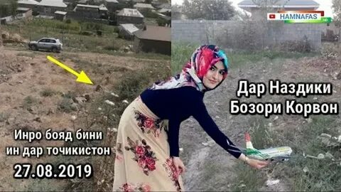 Курсы точикистон чанд