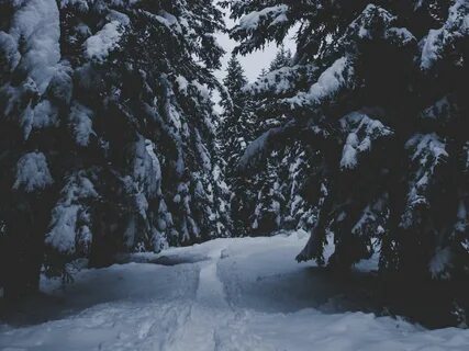 Snow path