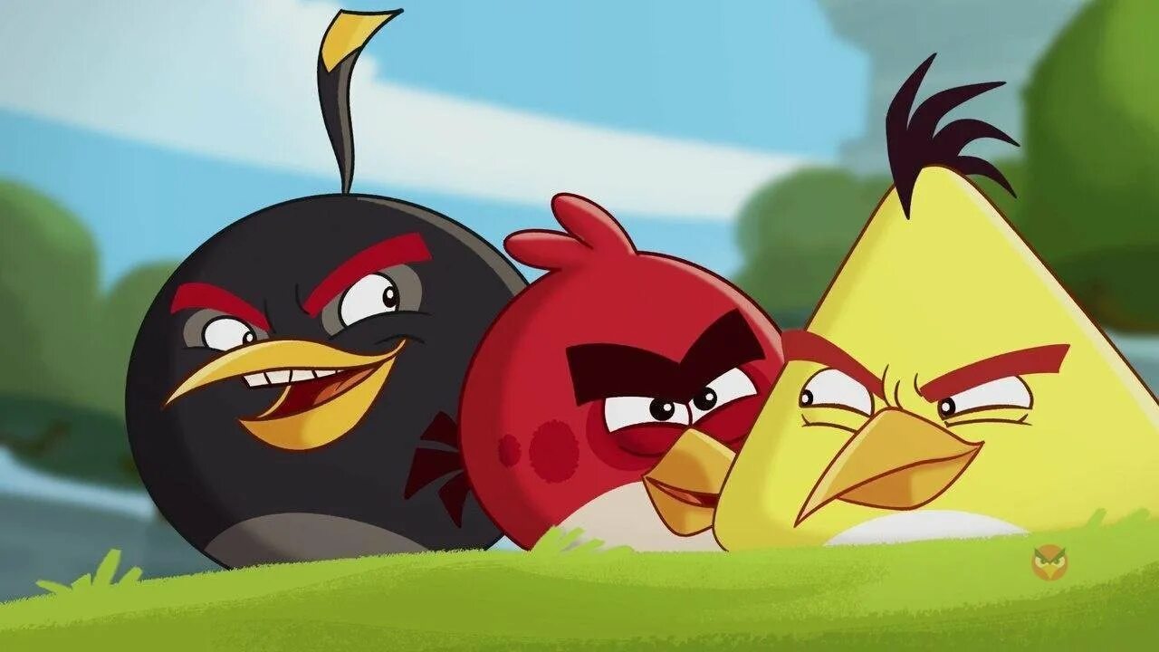 Бердс сердитые птички. Энгри бердз злые птички. Злые птички (Angry Birds toons!) 2013. Игра Angry Birds toons. Ангри берс 2.