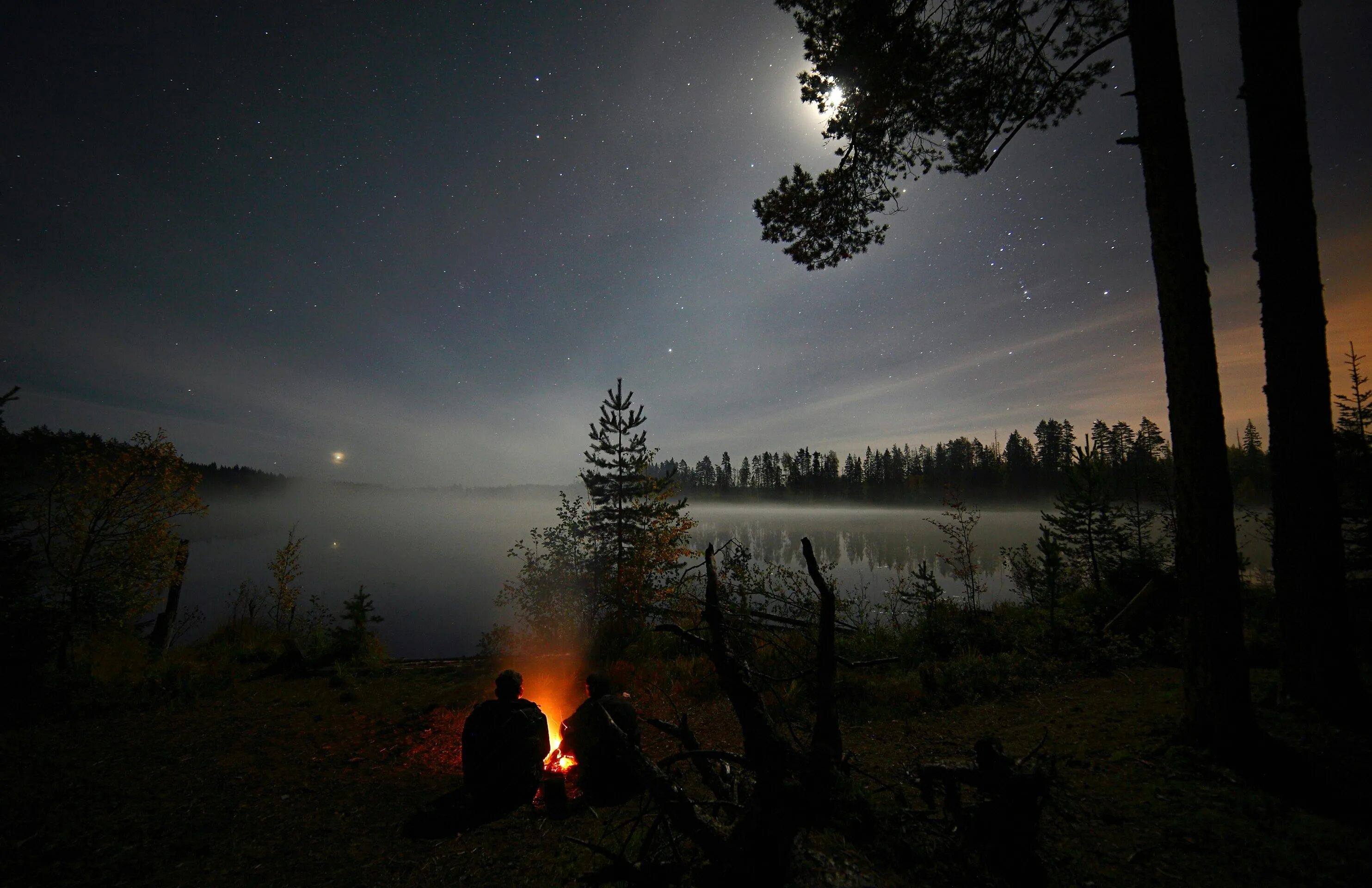 Сума с пеленой. Костер ночью. Природа. Природа ночью. Ночной костер в лесу.