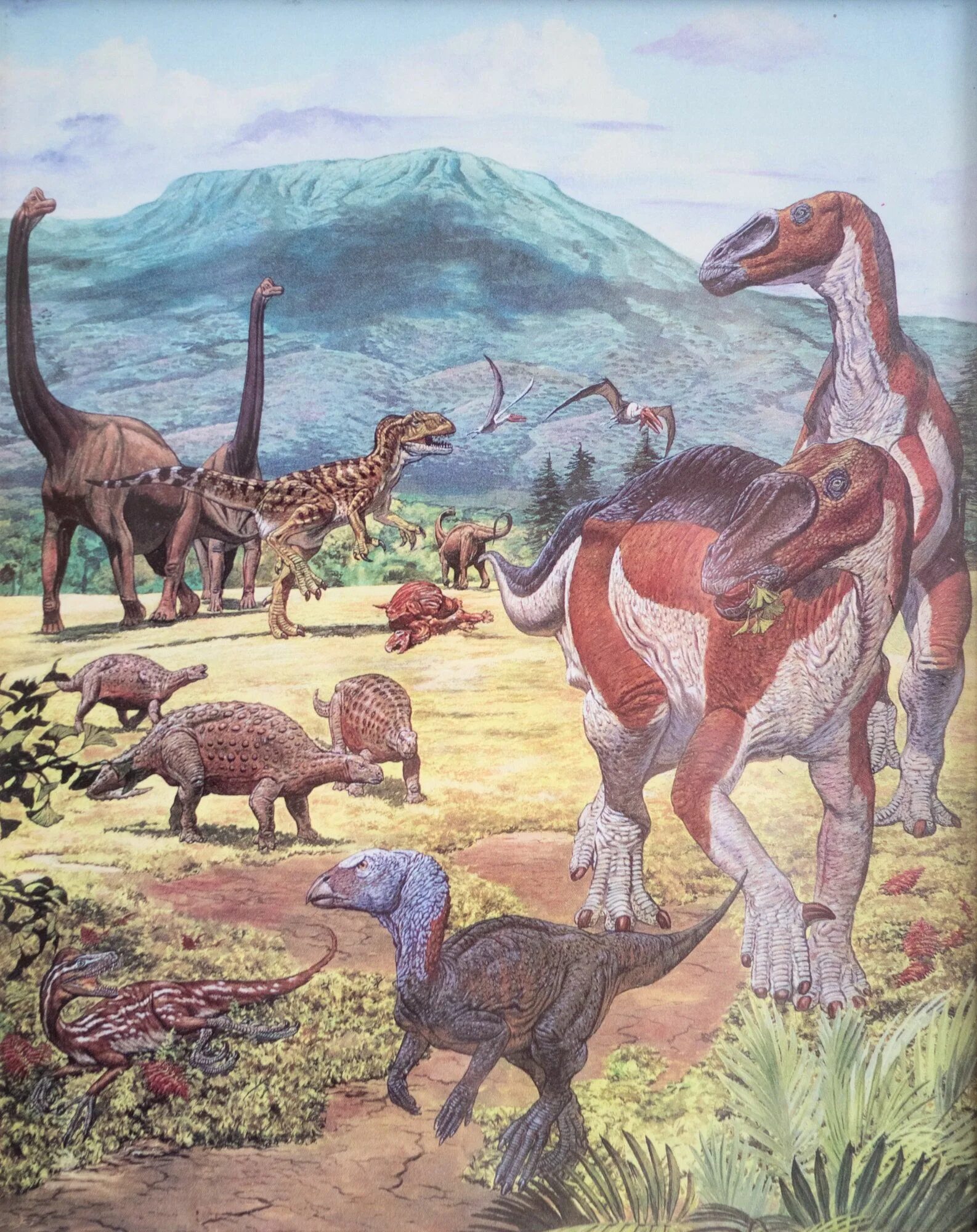 Эпоха динозавров года. Юрский период мезозойской эры. Динозавры мезозойской эры. Кайнозойская и мезозой Эра. Динозавры кайнозойской эры.