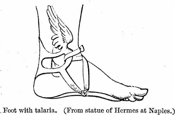 Таларии. Таларии сандалии Гермеса. Таларии Гермеса рисунок. Крылатые сандалии Таларии Графика.