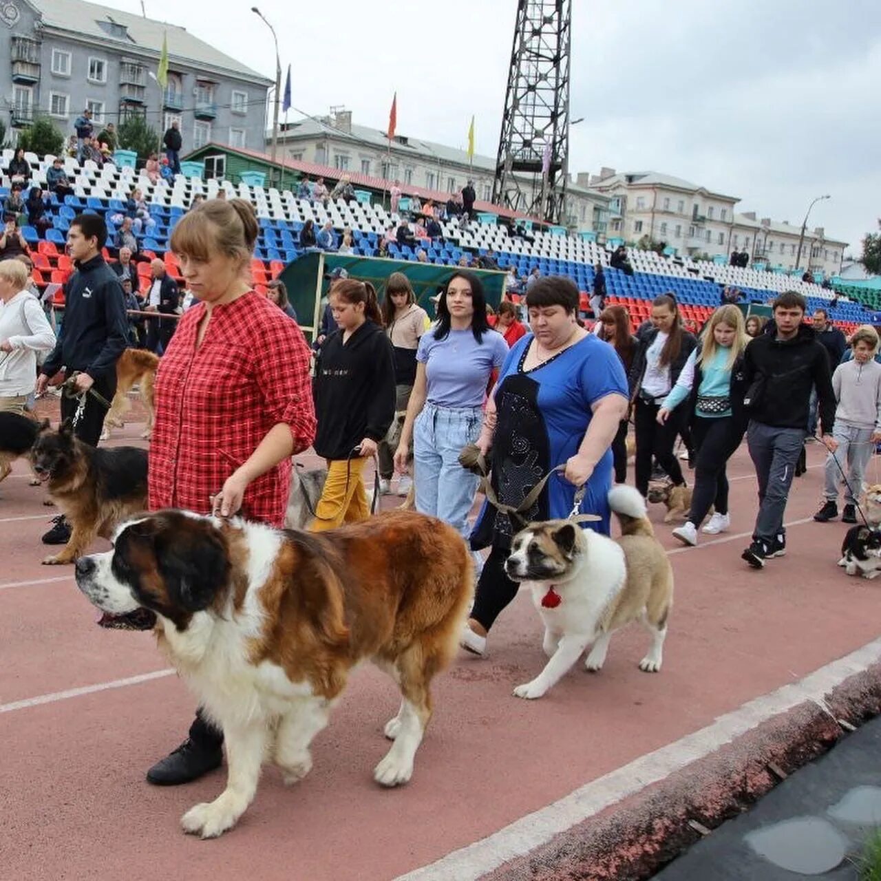 Выставка собак 2022. Выставка собак в Прокопьевске. На выставке собак. Выставка собак Прокопьевск 2022. Выставка собак в Прокопьевске 2020.