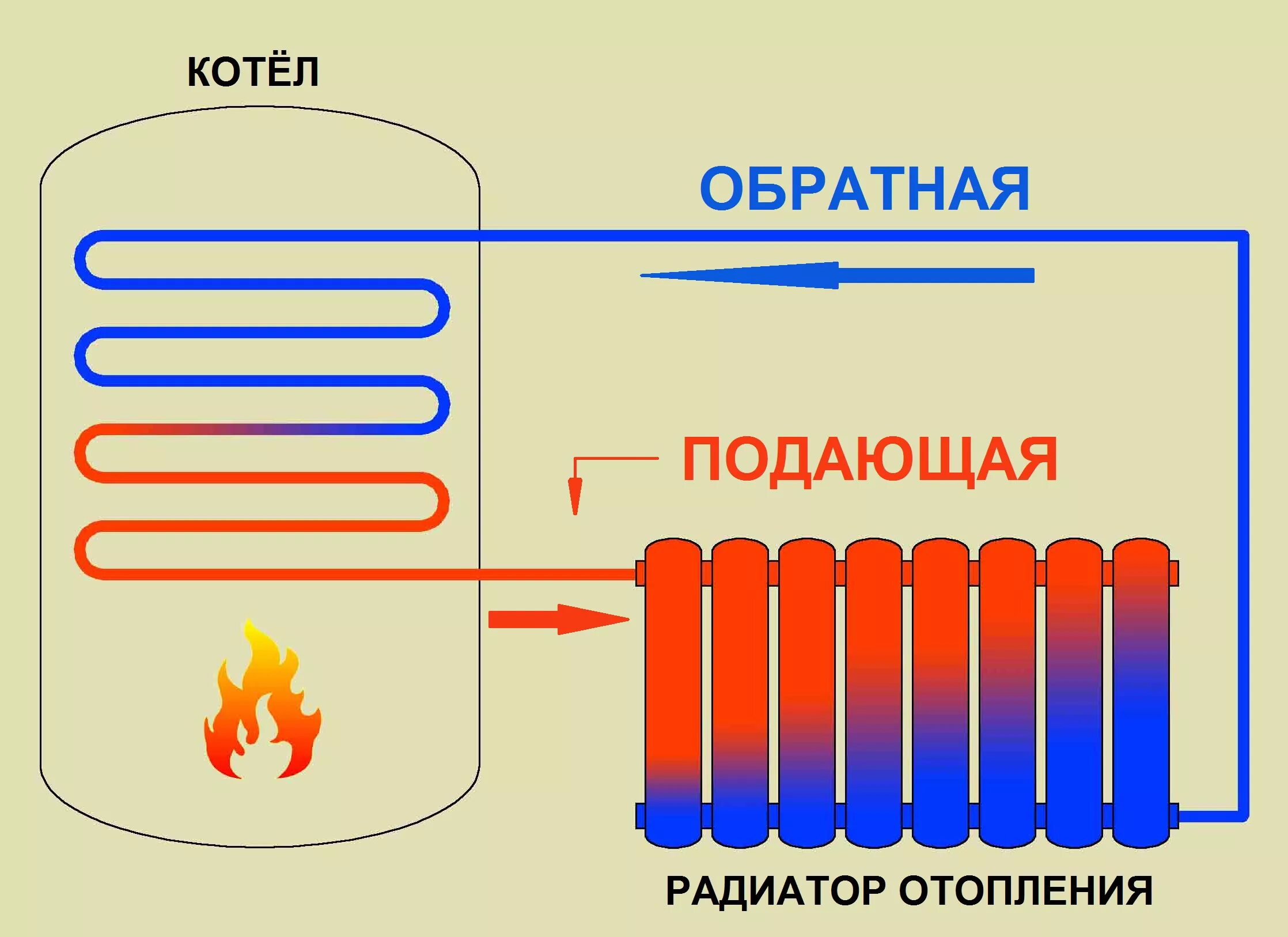 Принципы отопления. Схема циркуляции воды в батареях отопления. Схема работы батареи отопления. Принцип работы батареи отопления. Как устроен радиатор отопления.