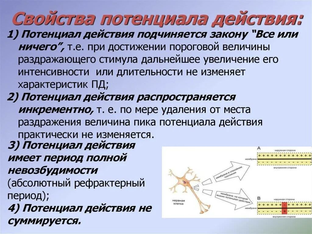 Закону силы подчиняется