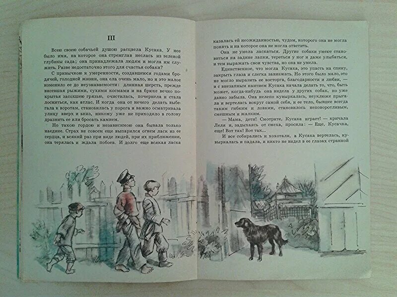 Рассказ кусаки мысли и чувства. Андреев кусака книга. Андреев кусака сколько страниц. Иллюстрация к книге кусака. Сколько страниц в рассказе кусака Андреева.