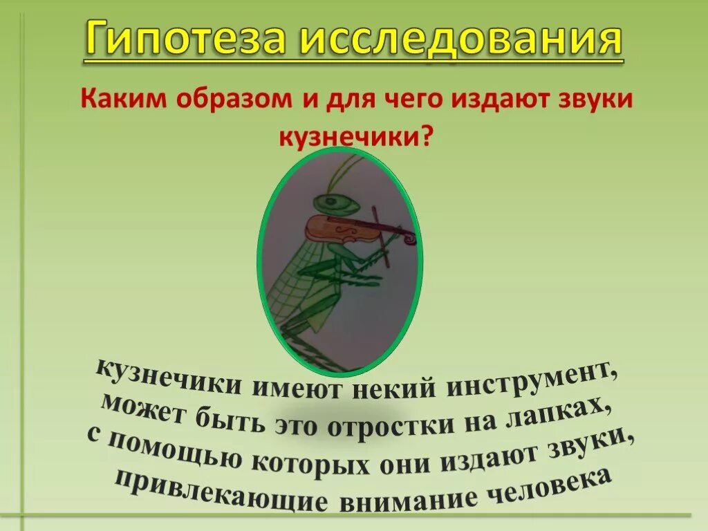 Кузнечик какие звуки издает 4. Какие звуки издает кузнечик. кузнечик издает звуки. чем издают звуки кузнечики. с помощью чего издает звуки кузнечик.