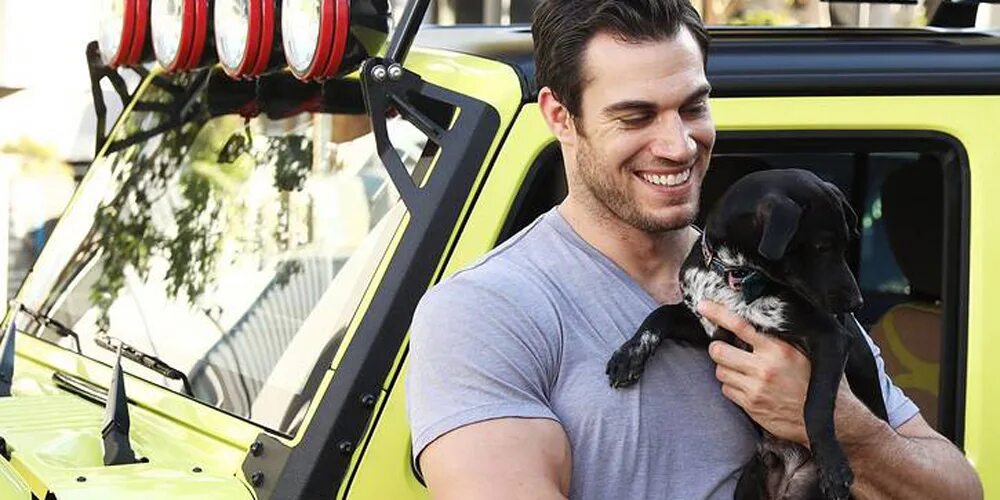 Give a talk about pets. Доктор Evan Antin. Эван Энтин ветеринар. Ветеринар доктор Эван. Эван Антин американский ветеринарный врач.