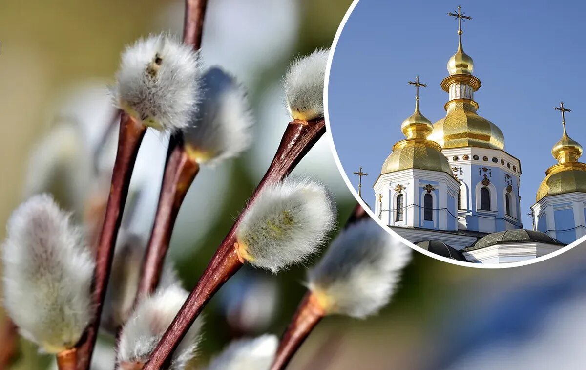 Вербное воскресение 23. Вербная воскресение и неделя вербная. вербное воскресенье день 2025. верба на вербную неделю. апрель вербное воскресенье.