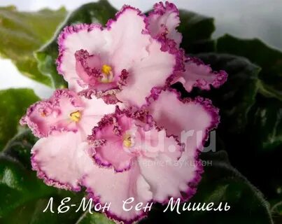 Ле монлид перевод