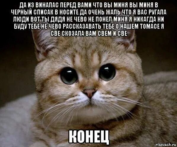 Жалко что я не вижу. Очень жаль очень жаль. Очень жаль картинки. Мне очень жаль тебя. Картинки жаль очень жаль.