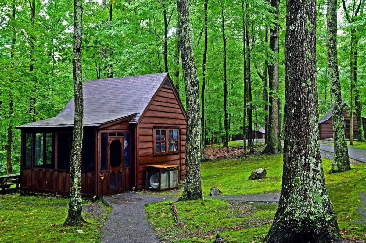 Find a camp. Cabin Park. Camp Cabin. Cabin Creek West Virginia. Lake James State Park Cabin Rentals.