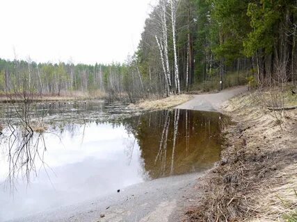 Осадки зеленодольск