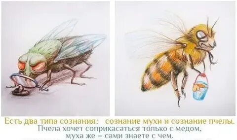 Порхай как муха