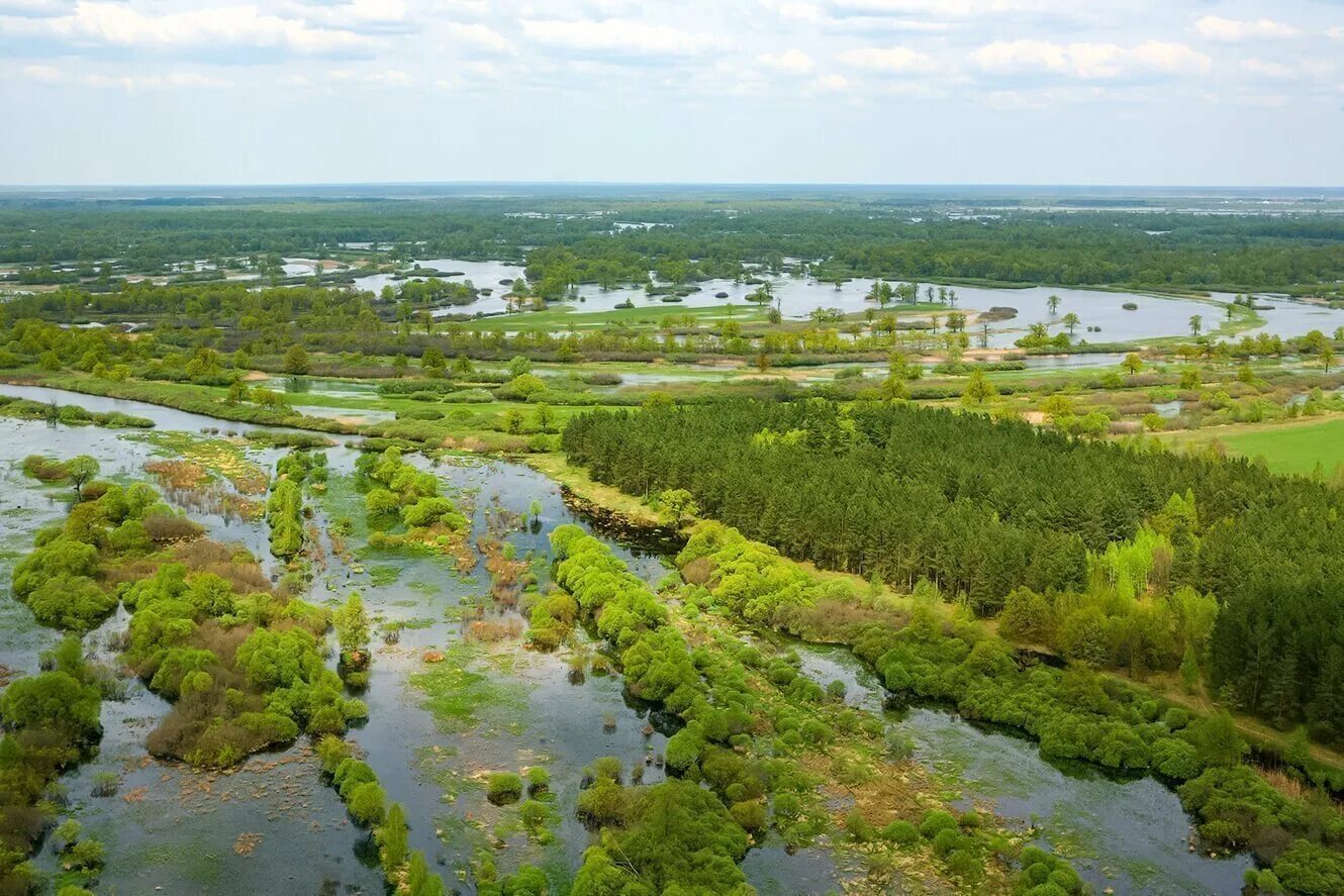 Припятский котел история зоны. Национальный парк припятский беларусь. туровский луг. туровский луг заказник. припять туровский луг.