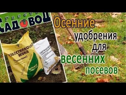 Какое удобрение лучше внести осенью