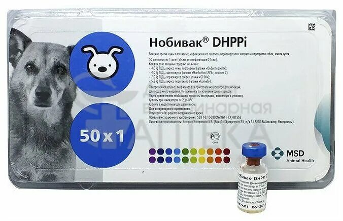 Т вакцина. Нобивак DHPPI. Нобивак DHPPI 50 доз. Нобивак DHPPI RL для собак. Вакцина Нобивак DHPPI + L, комплект.