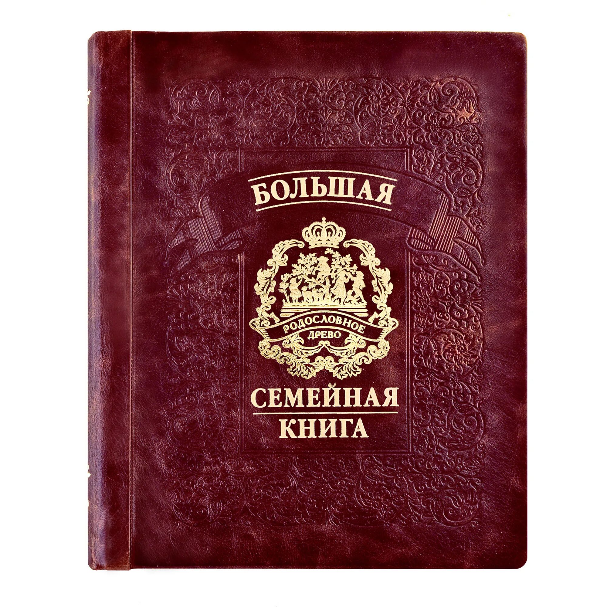 Родословная книга семьи. Семейный альбом книжка. Семейный альбом книги. Оформление обложки книги. Большая семейная книга родословное древо.