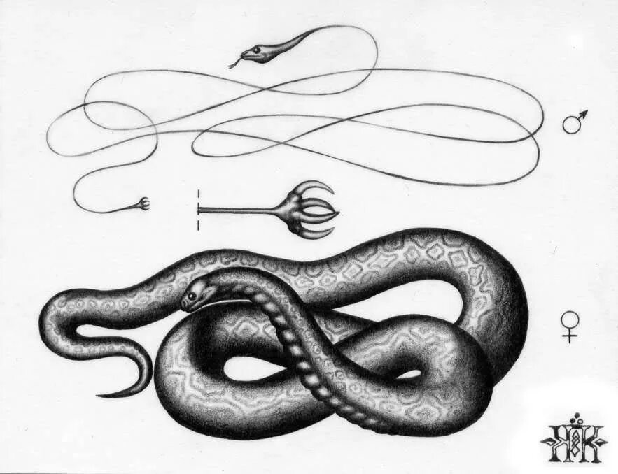 Алиса падает фильм. Алиса летит. Алиса уж. Alisa bosconovitch. Alice madness returns красная королева.