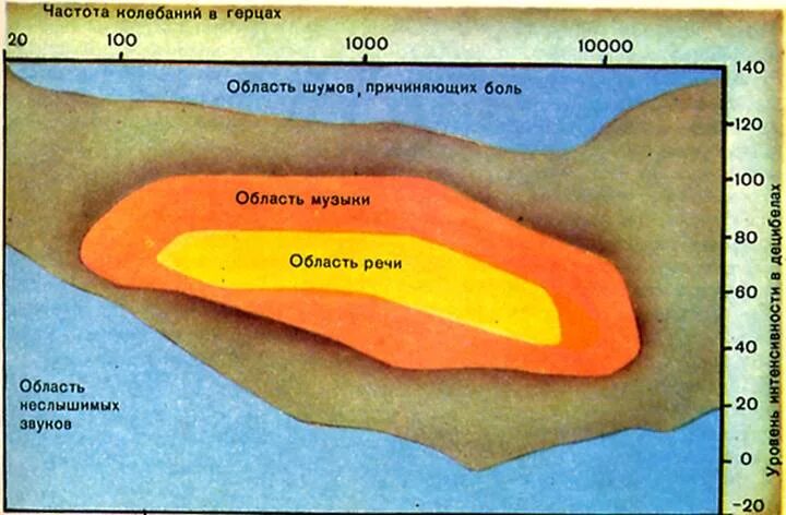 Частота работы органов человека. Частота вибрации органов человека. Резонансные частоты органов человека таблица. Частота органов человека в Герцах.