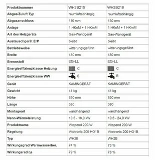 06 на котле viessmann
