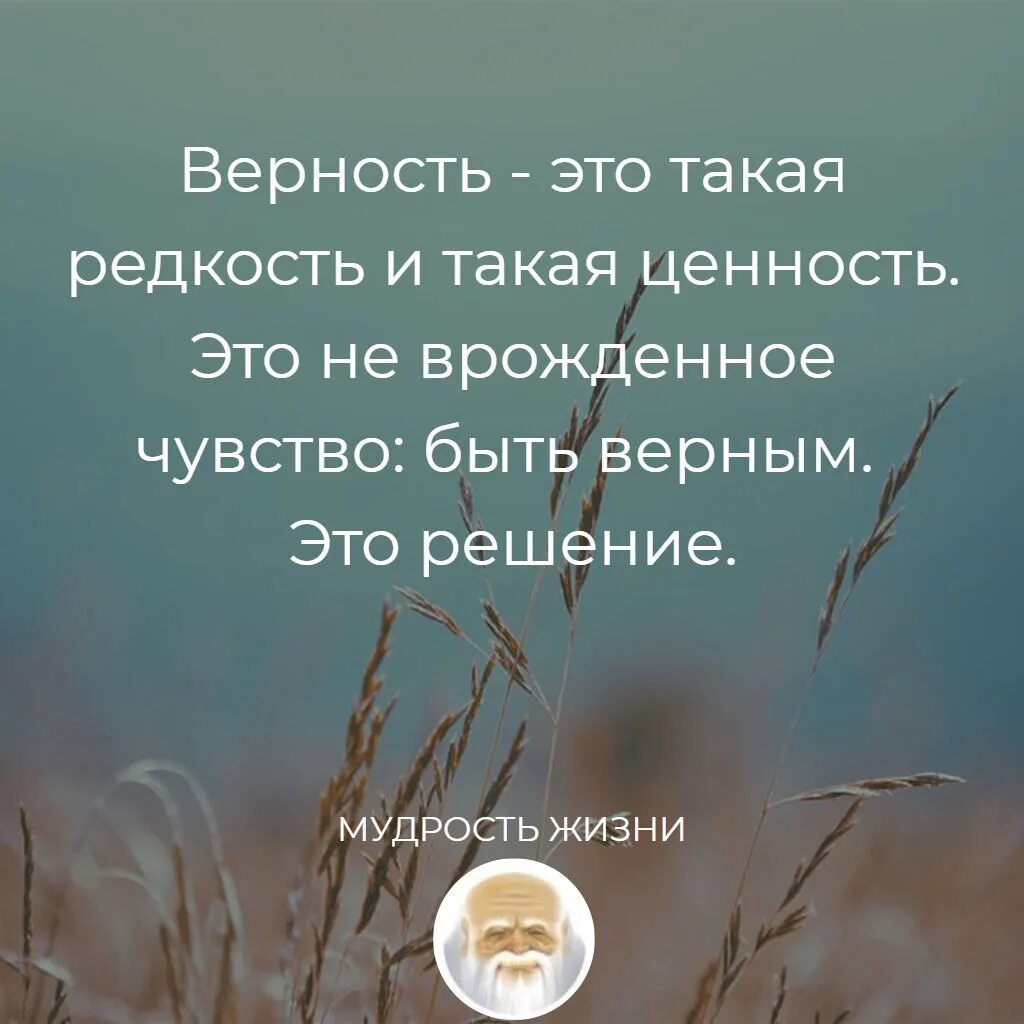 Статус о новой жизни. Статусы про жизнь новые. Жизнь прекрасна статусы. Красивые статусы про жизнь. Статусы о жизни красивые новые.