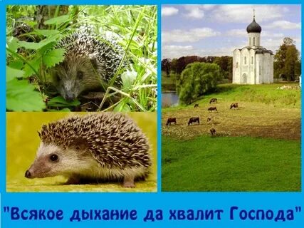 Всякое дыхание