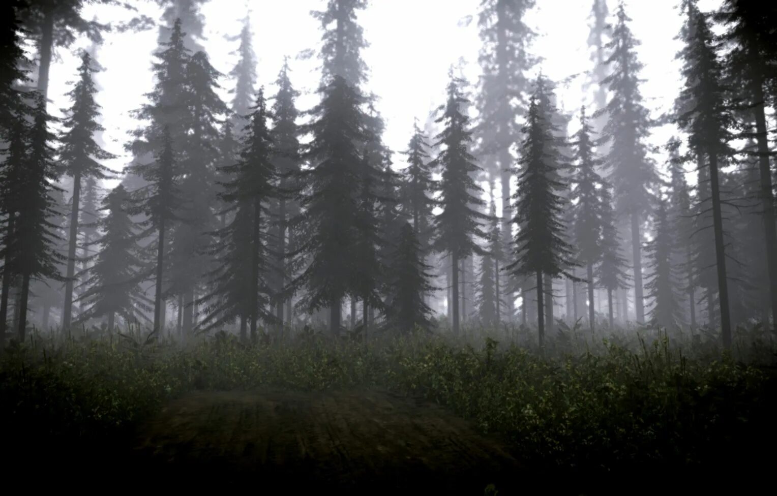 Source forest