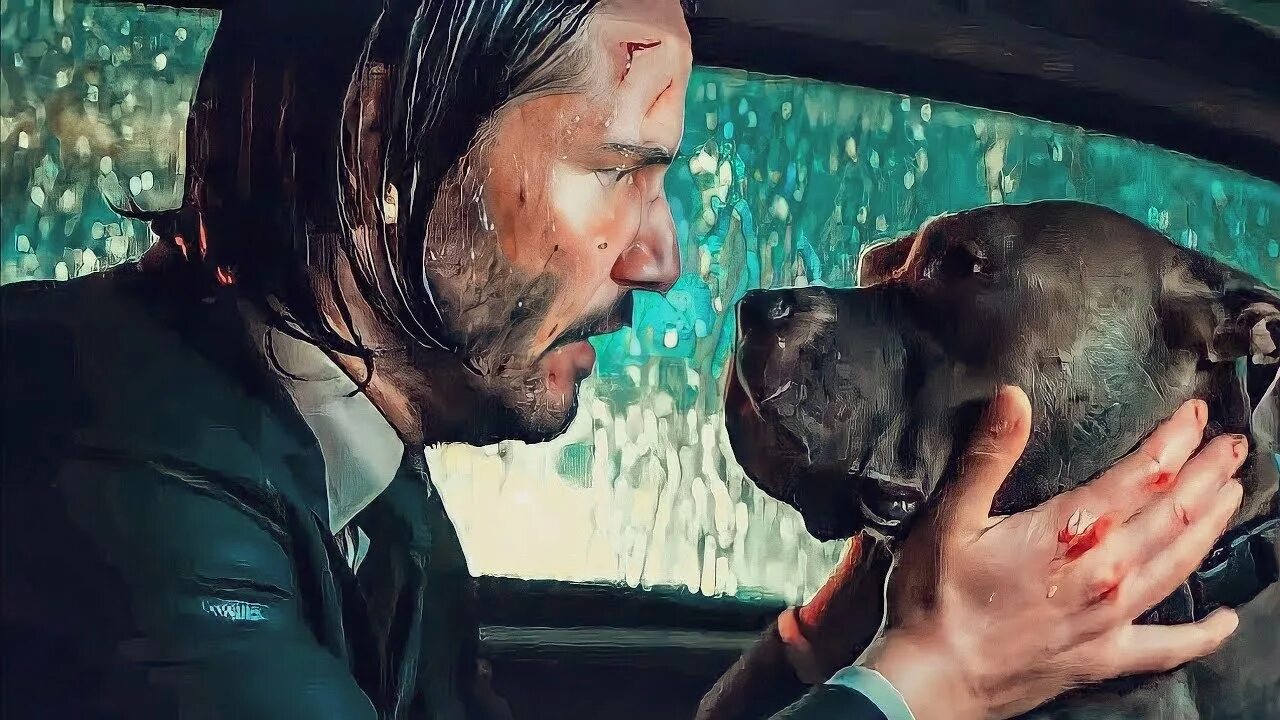 Джон уик 2 собака. Джон уик питбуль. Пес из джон уик 2. Джон уик собака. Джон уик собака порода.