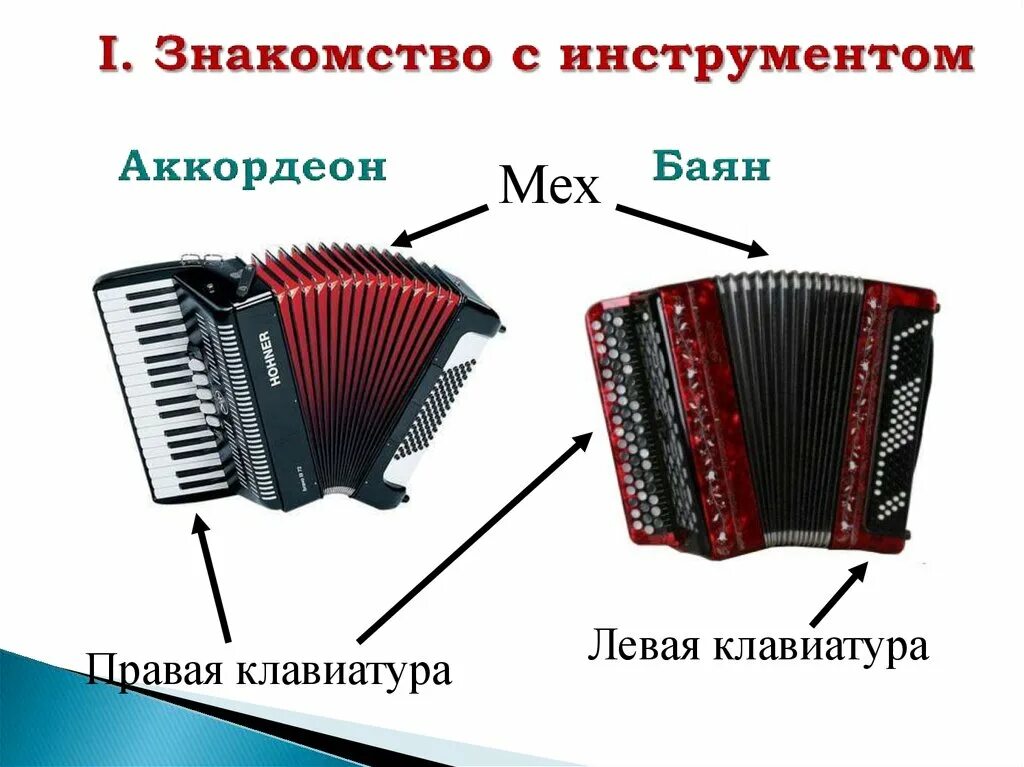 Гармонь баян аккордеон разница. Аккордеон баян гармошка различия. Гармошка баян и аккордеон разница. Аккордеон баян гармонь отличия.